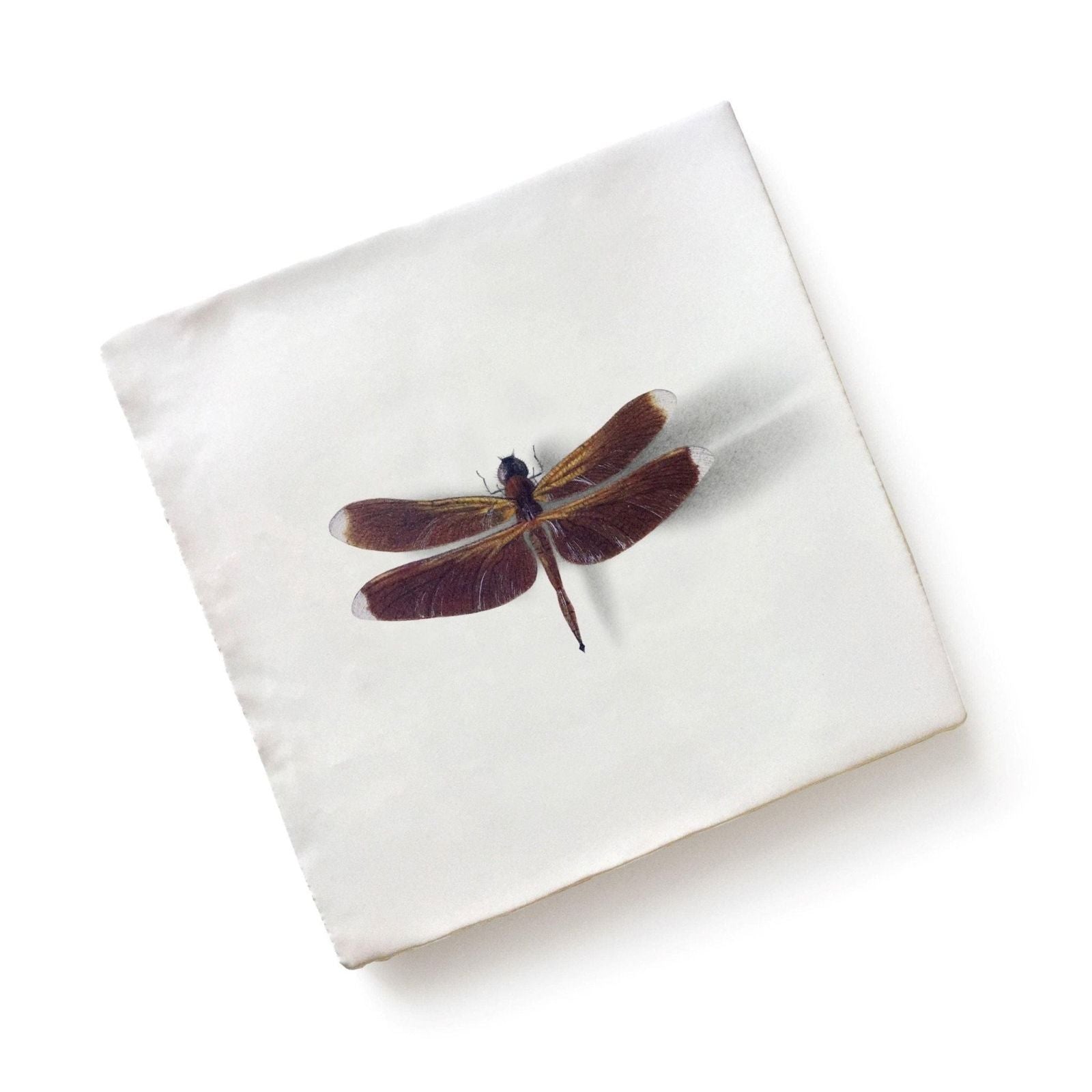 Menagerie ceramic by michael angove square white canvas featuring a pressed brown dragonfly with translucent wings