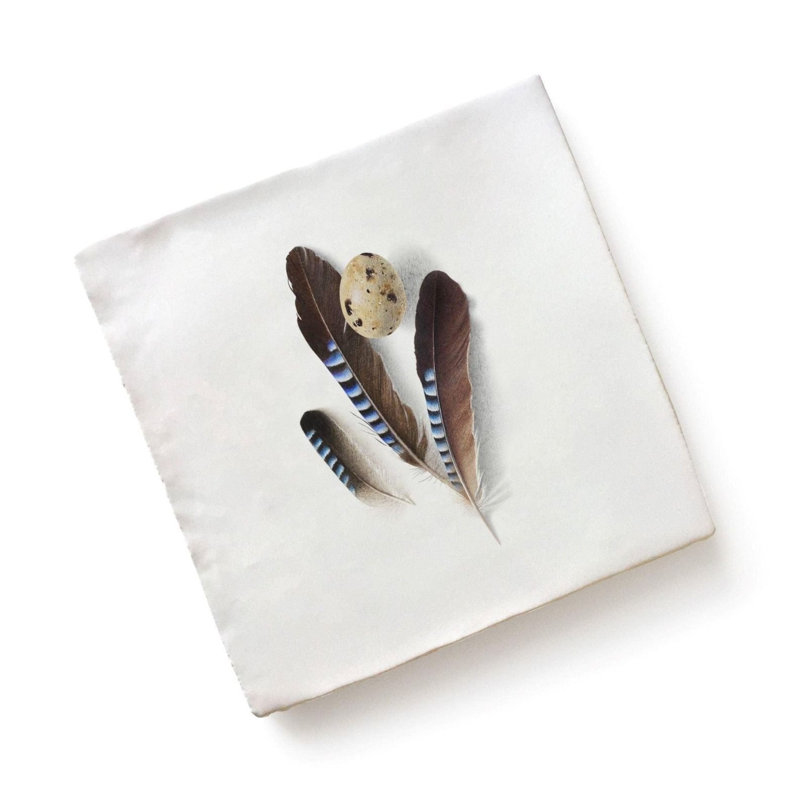 White canvas print featuring detailed illustration of three brown feathers with blue stripes and speckled quail egg by michael angove