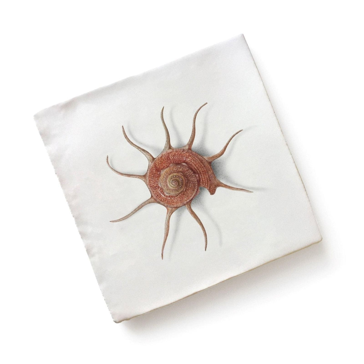 White square pillow with an embroidered reddish-brown seashell by Menagerie Ceramic by Michael Angove