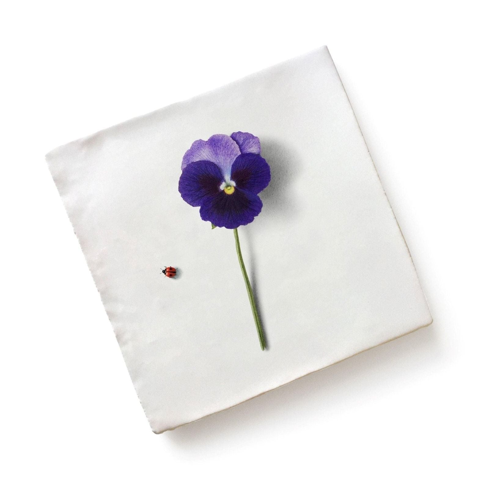 A vibrant purple pansy ceramic by michael angove with a yellow center on a white canvas background
