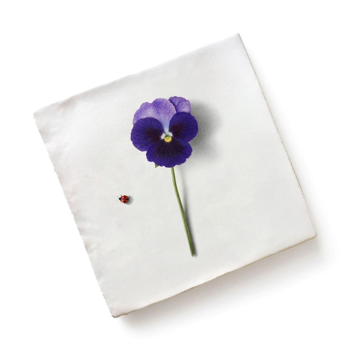 A vibrant purple pansy ceramic by michael angove with a yellow center on a white canvas background