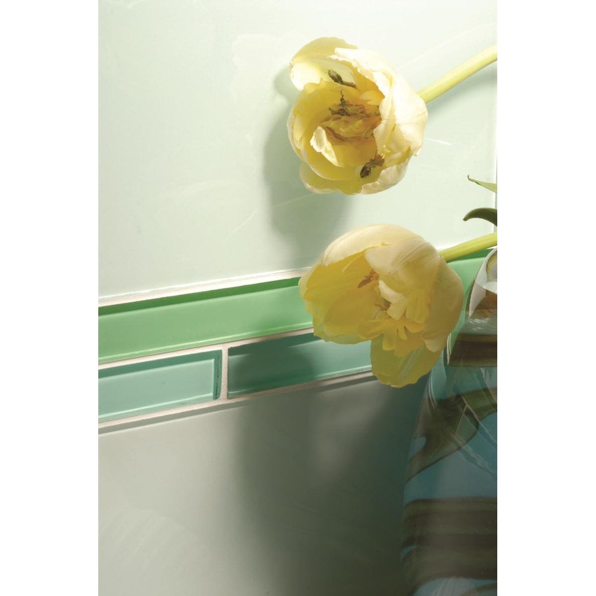 Two pale yellow tulips with slightly wilted petals against a light mint-green tiled wall in mississippi clear highlight strip