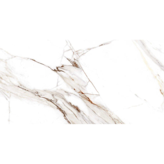 Serie Corinto Polished Porcelain Wall & Floor Tile 1200x1200mm - alternate view