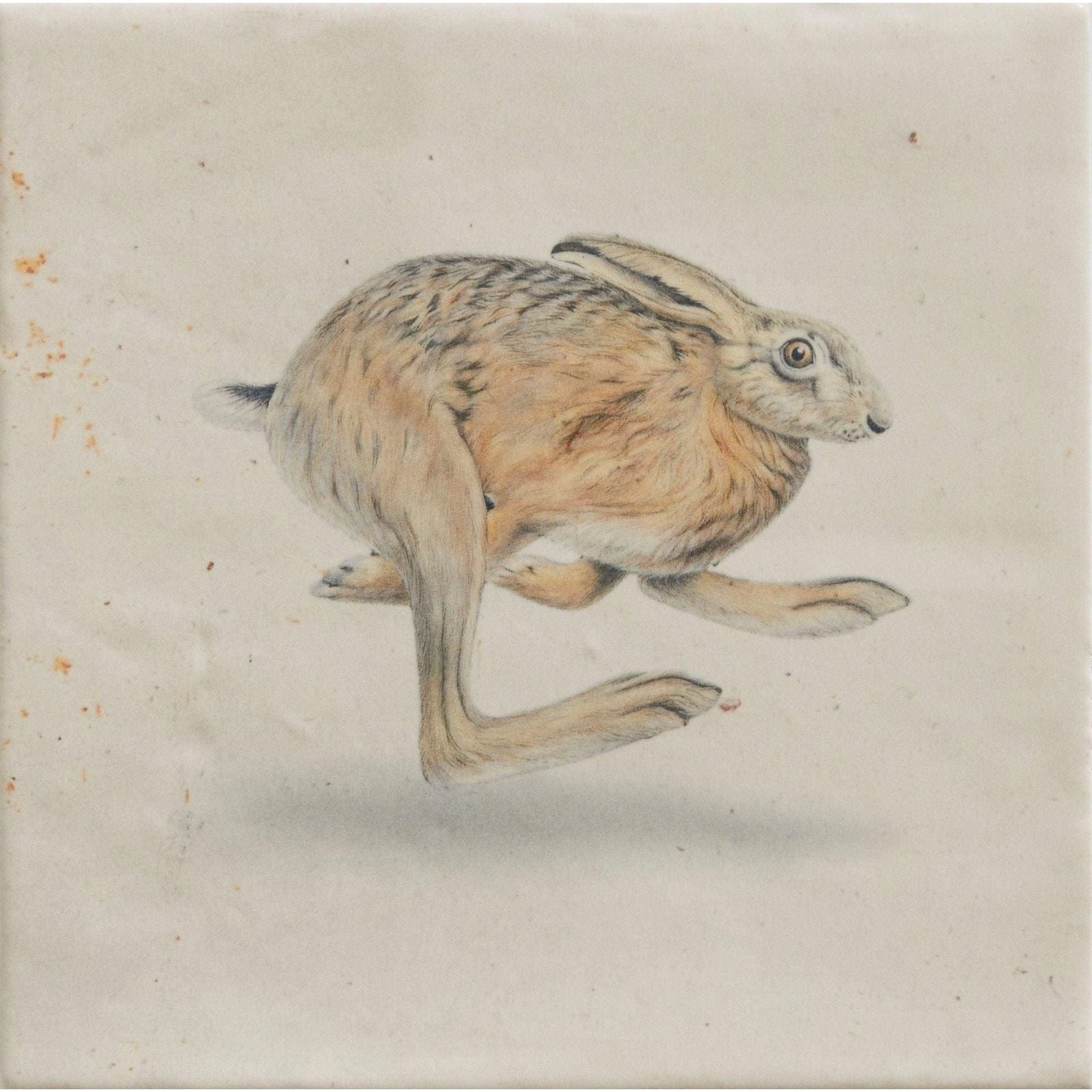 A detailed watercolor painting of a brown and beige hare in mid-leap on textured paper by joanna may