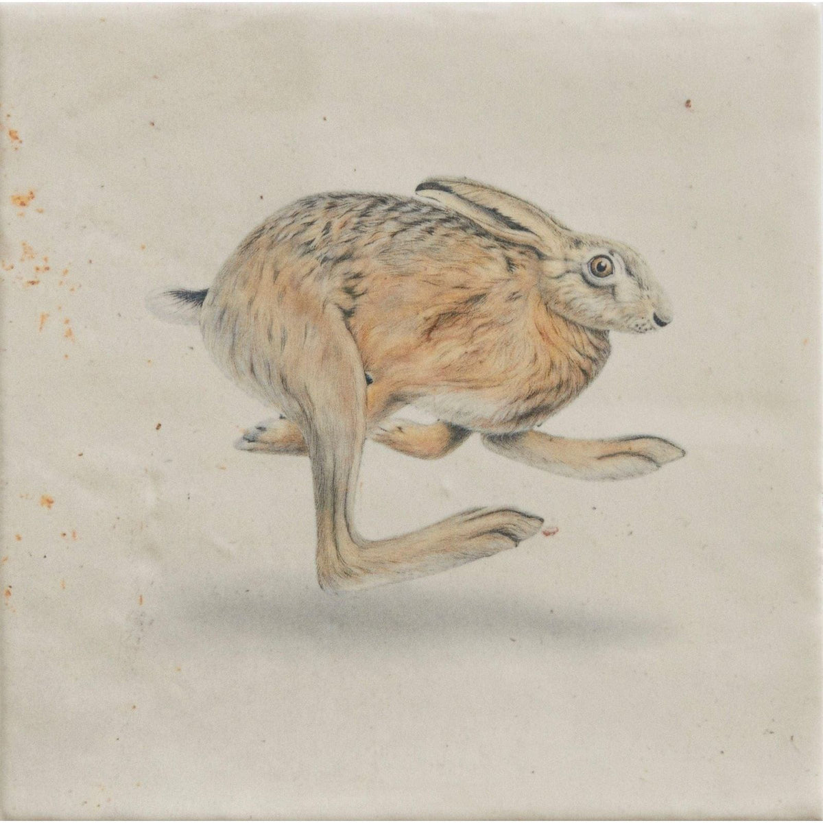 Wiltshire Hares By Joanna May – close-up detail (5)