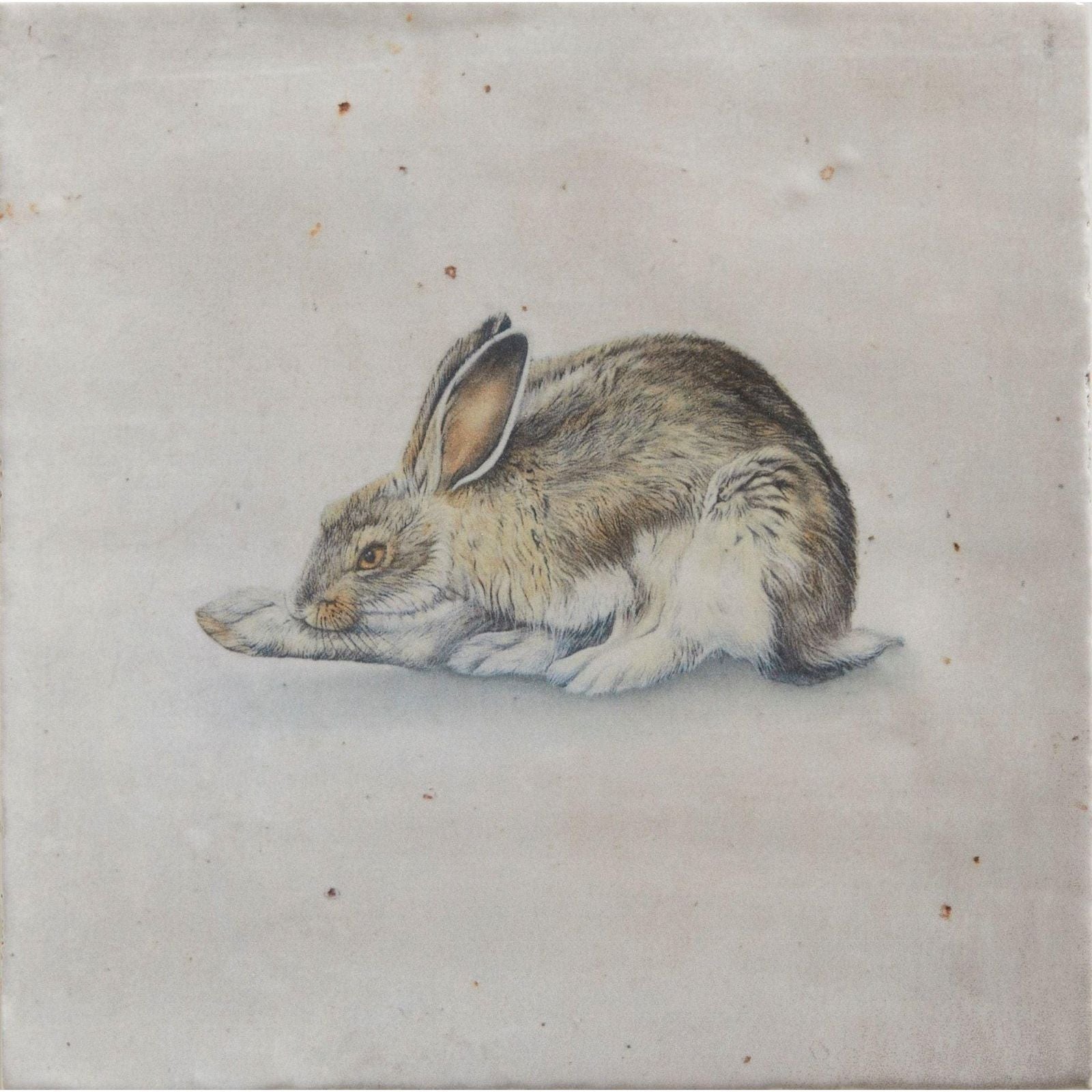 A delicately painted illustration of a resting rabbit with soft brown and white fur in wiltshire hares by Joanna May