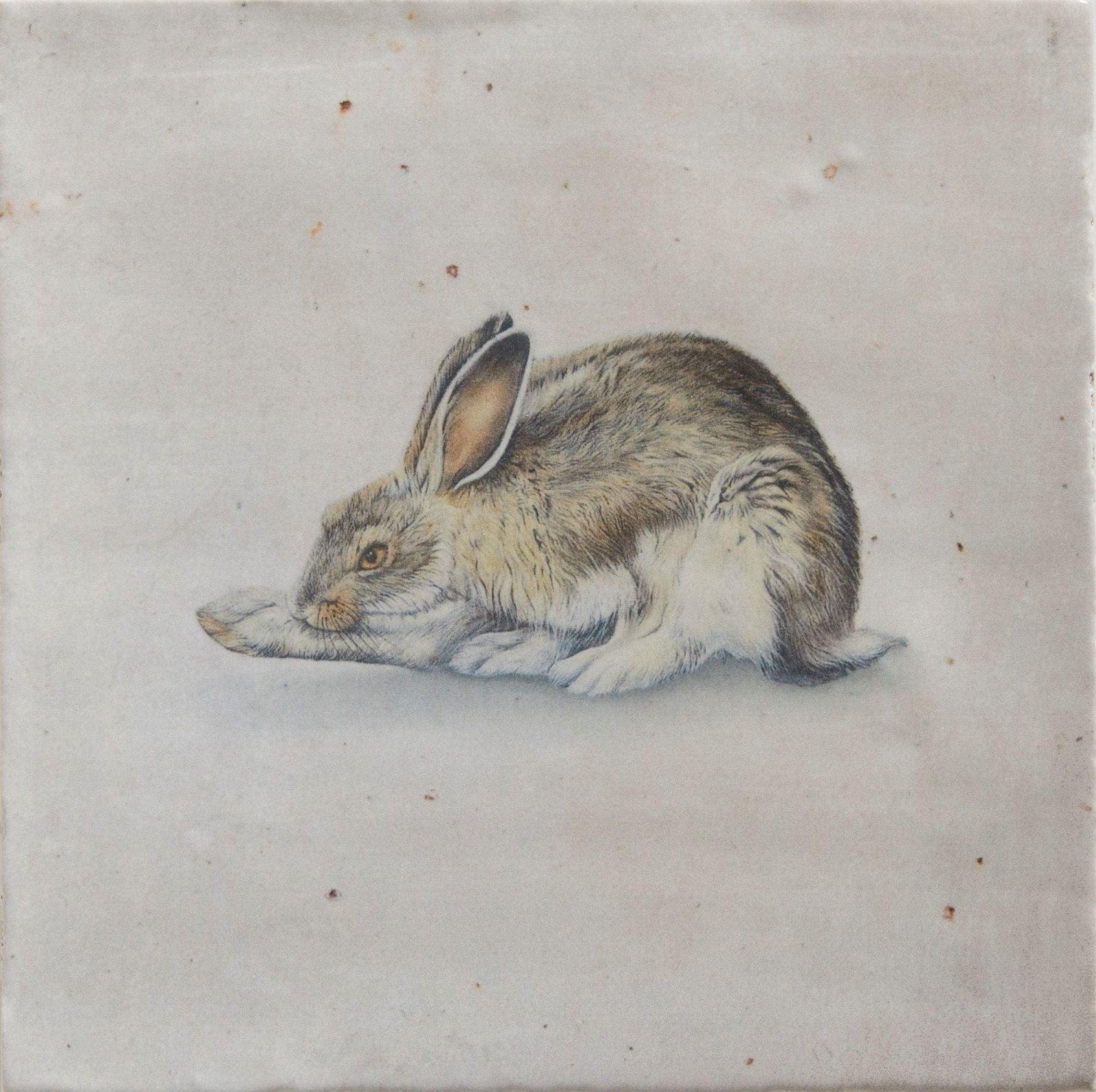 Wiltshire Hares By Joanna May