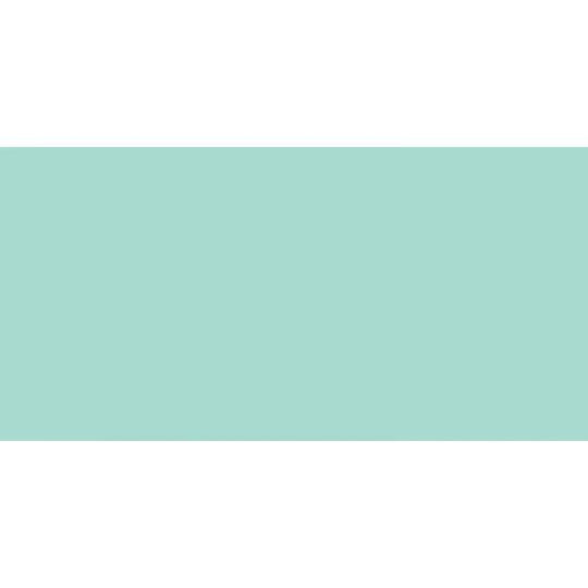Zambezi Clear Glass 600 x 300mm mint green glass tile