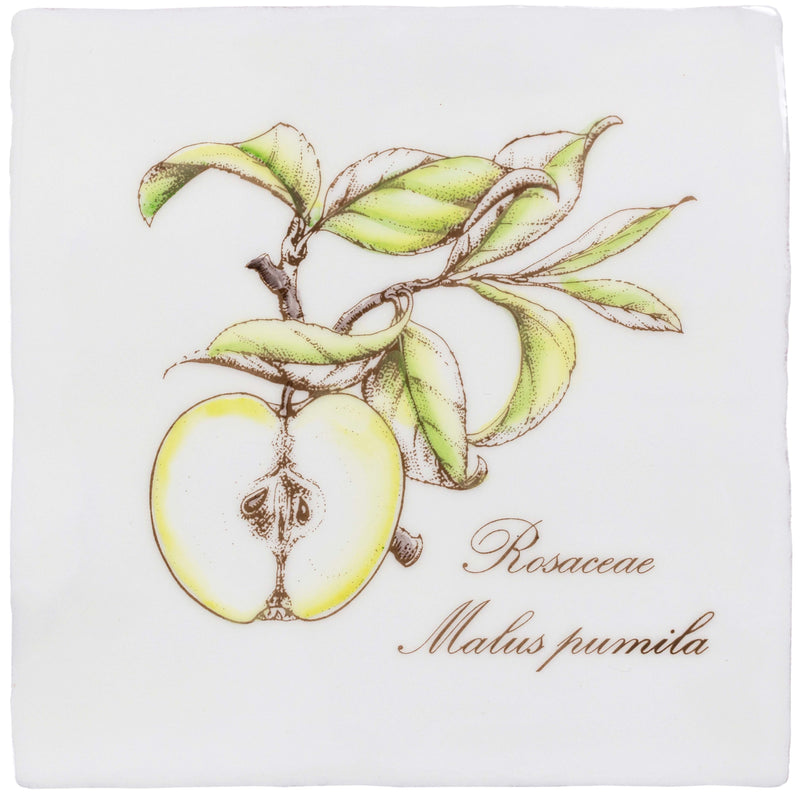 Botancial Fruit On Cotton By Original Style