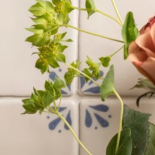 Country Delft