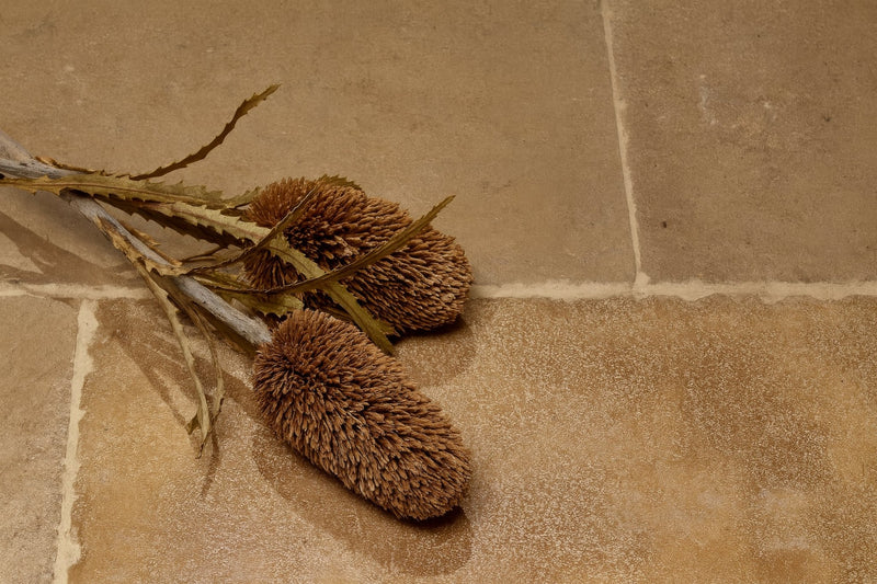 Dried brown banksia flower heads with spiky textured surfaces on slender stems resting on flagstone bathroom tiles
