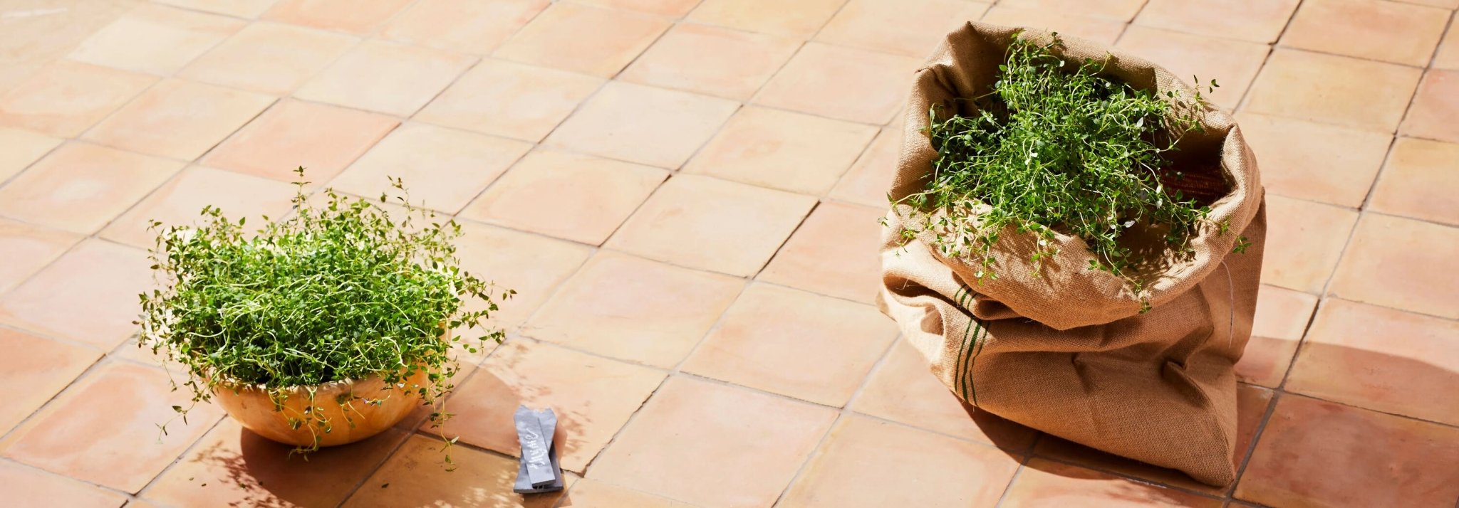 A lush green herb plant overflowing from a rustic brown burlap sack in outdoor tiles collection