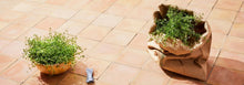Outdoor Tiles