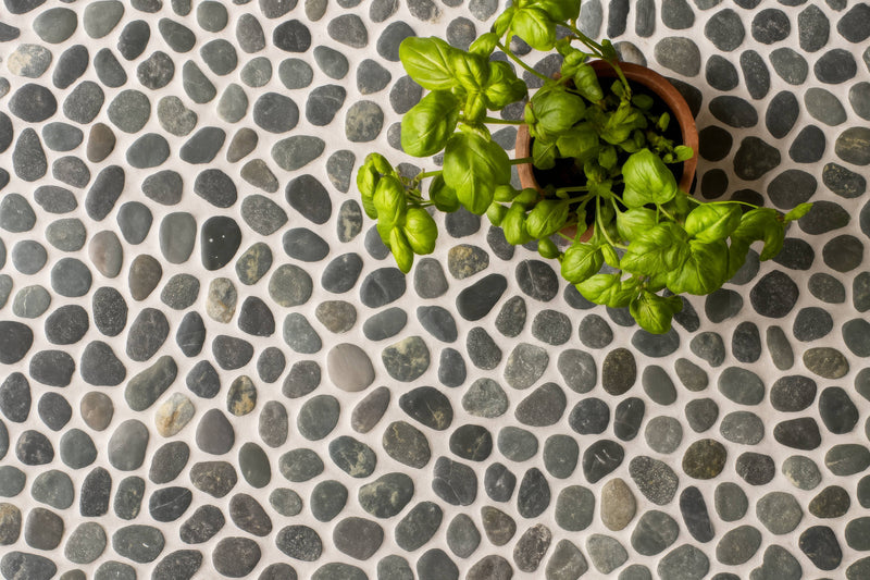 A vibrant green basil plant in a small terracotta pot on gray pebble mosaic tiles surface.