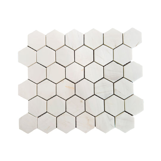 Dolomite Polished Marble Hexagon Mosaic Wall & Floor Tile - alternate view