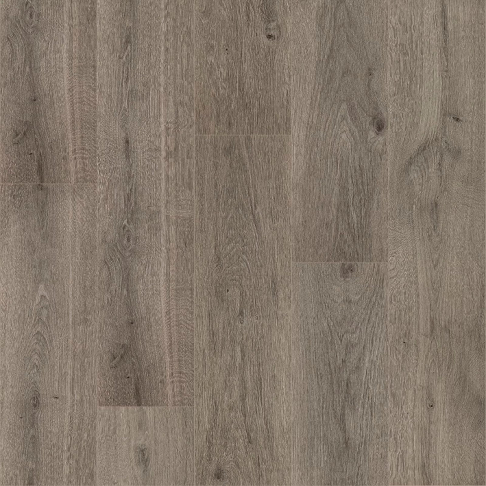 Stonehenge F053 vinyl planks featuring gray wood-plank laminate flooring with natural grain pattern and subtle knots
