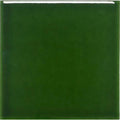 Windsor Balmoral Green 15 x 15cm glazed ceramic gloss tile face