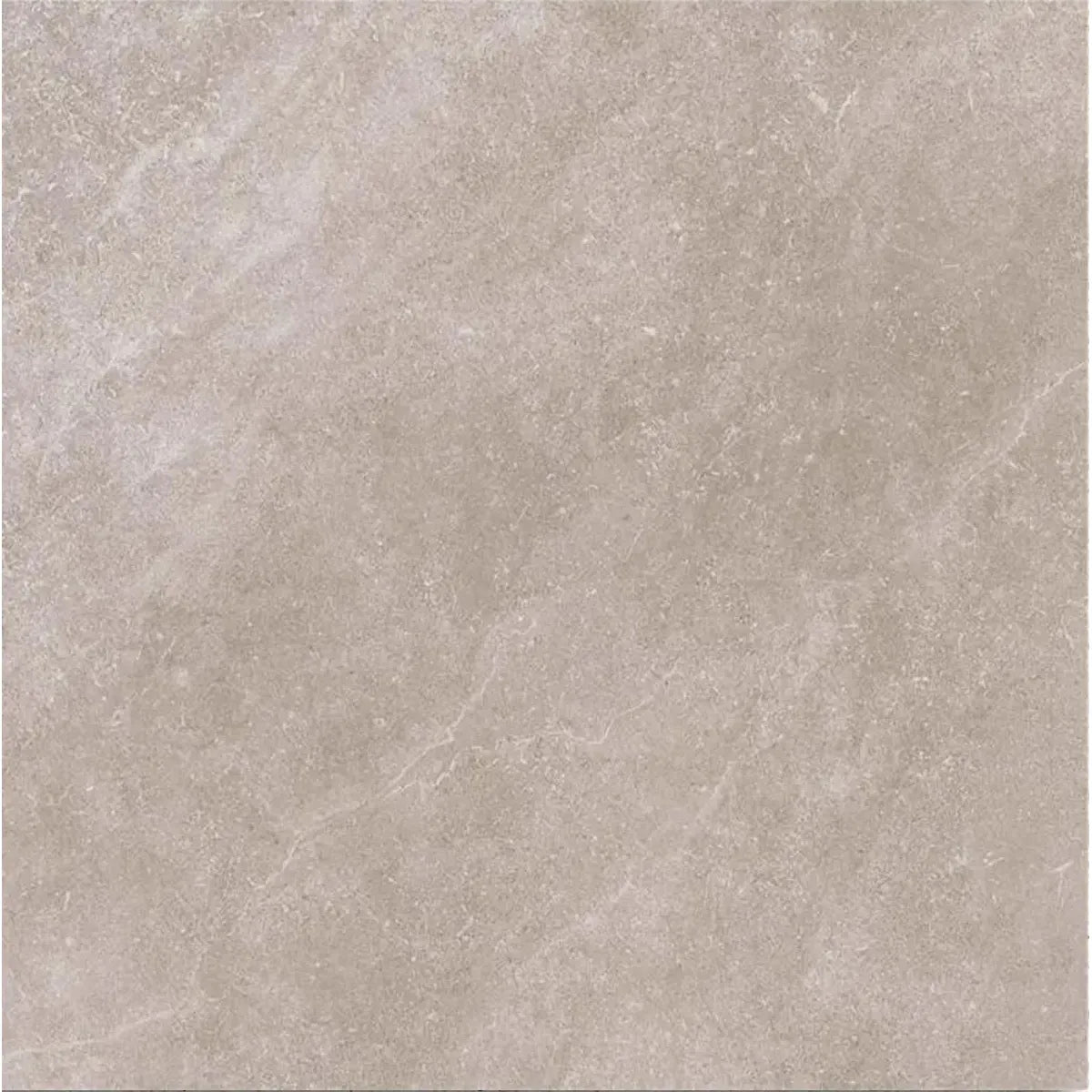 Forum Natural Matt 100 x 100cm porcelain concrete effect tile face