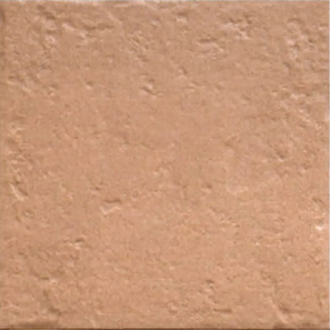 Tahoe Canem 20x20cm warm brown rustic matt porcelain tile face