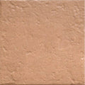 Tahoe Canem 20x20cm warm brown rustic matt porcelain tile face