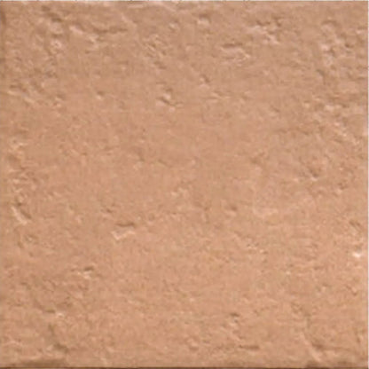 Tahoe Canem 20x20cm warm brown rustic matt porcelain tile face