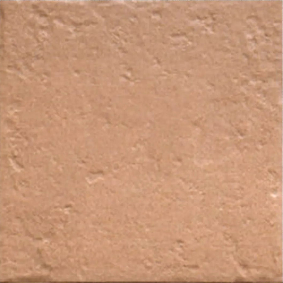 Tahoe Canem 20x20cm warm brown rustic matt porcelain tile face