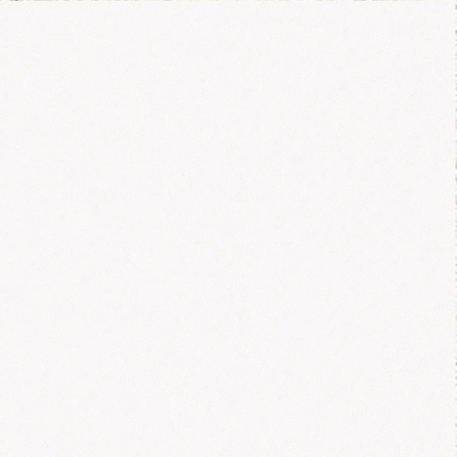 Barcelona Blanco 25 x 25cm white matt porcelain tile face