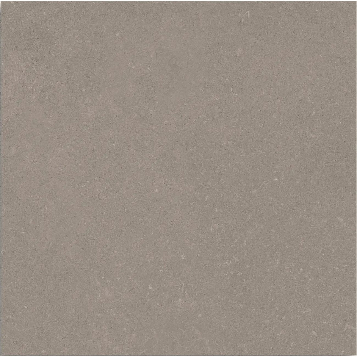 Osso Sand 60 x 60cm matt porcelain tile face detail