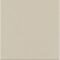 Osso Ivory 60 x 60cm matt porcelain tile face detail