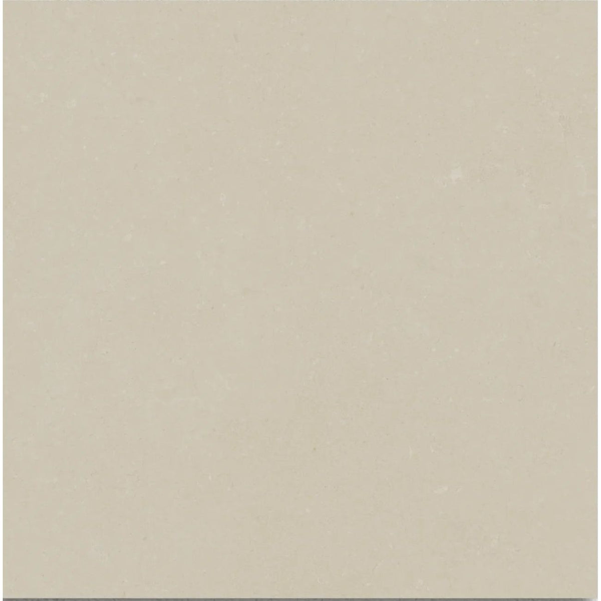 Osso Ivory 60 x 60cm matt porcelain tile face detail