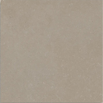 Osso Greige 60 x 60cm matt porcelain tile face detail