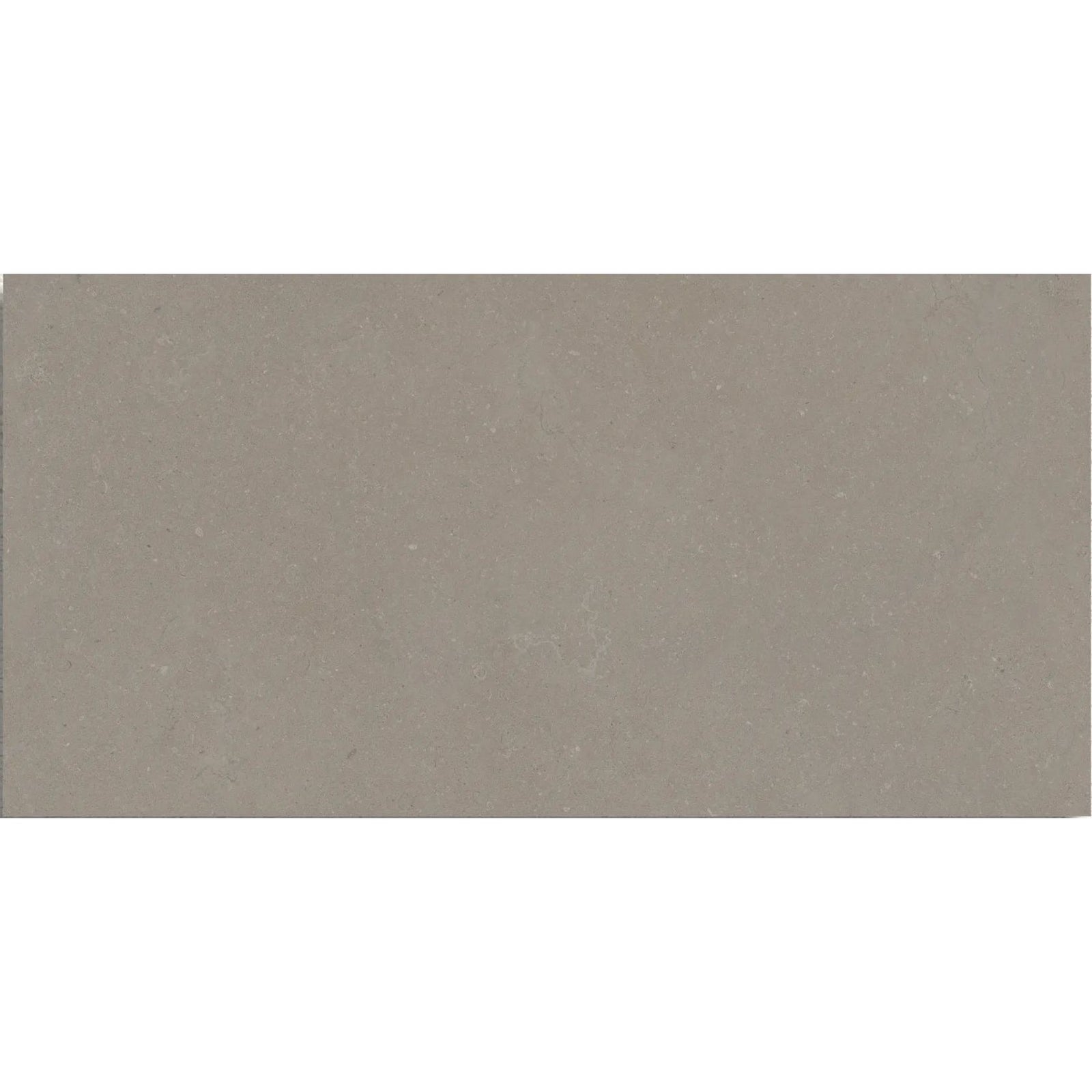 Osso Greige 60 x 120cm Porcelain Tile – close-up detail