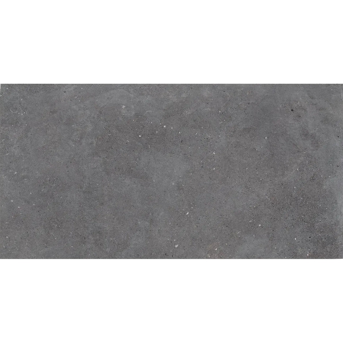 Mixtone Dark 60 x 120cm porcelain stone effect tile face