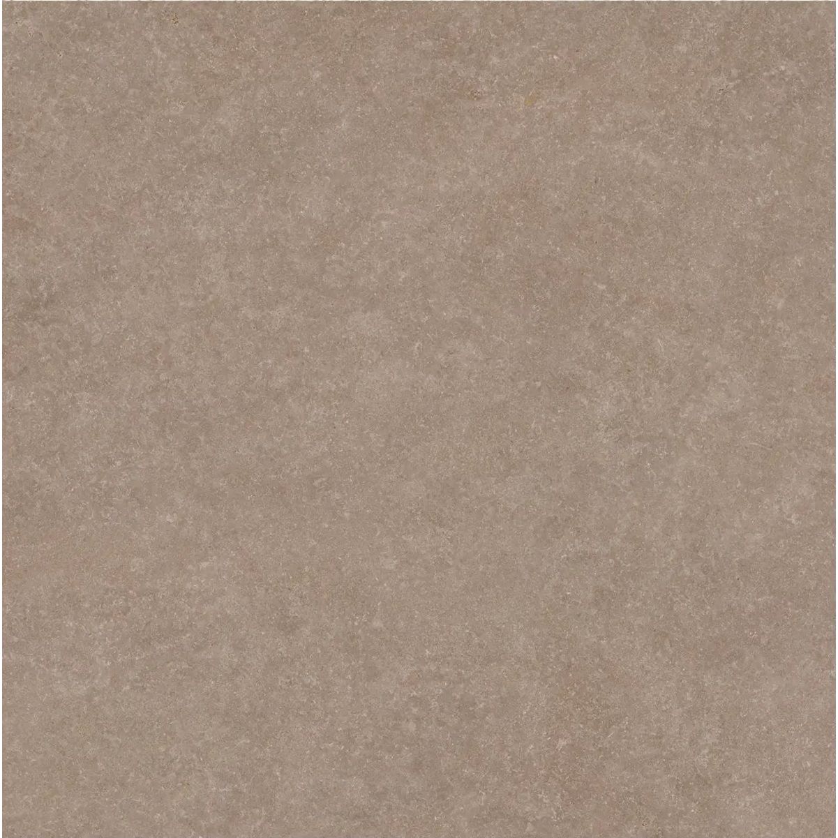 Light Stone Taupe Floor 60 x 60cm porcelain stone effect tile face
