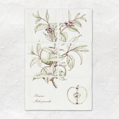Apple Decorative 6-Tile Set On Cotton – detail view 2