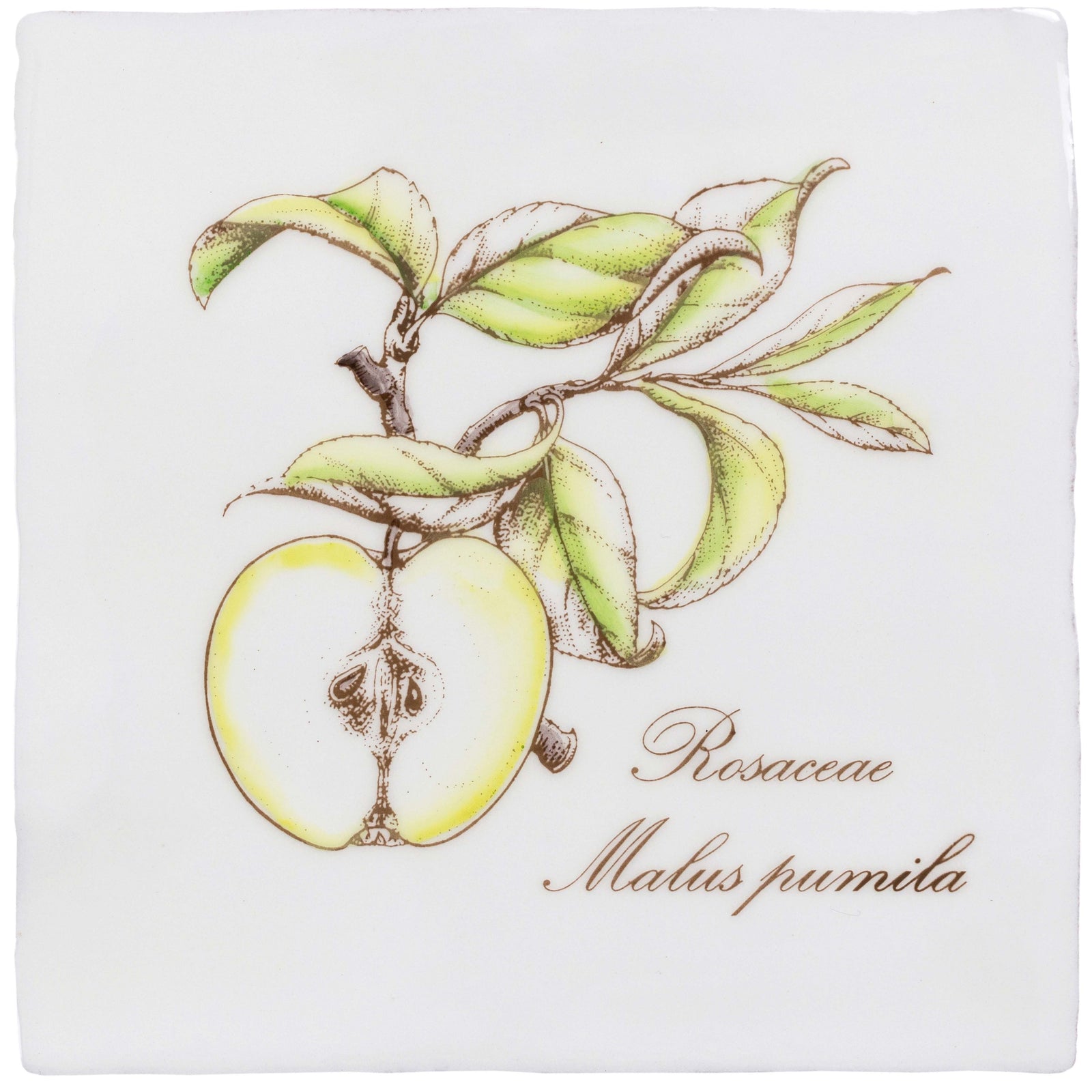 Apple Decorative Tile On Cotton – detail view 3