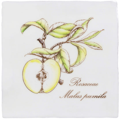 Apple Decorative Tile On Cotton – detail view 3
