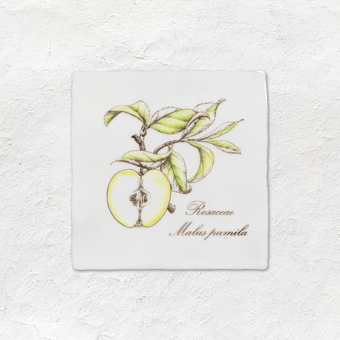 Apple Decorative Tile On Cotton – detail view 2
