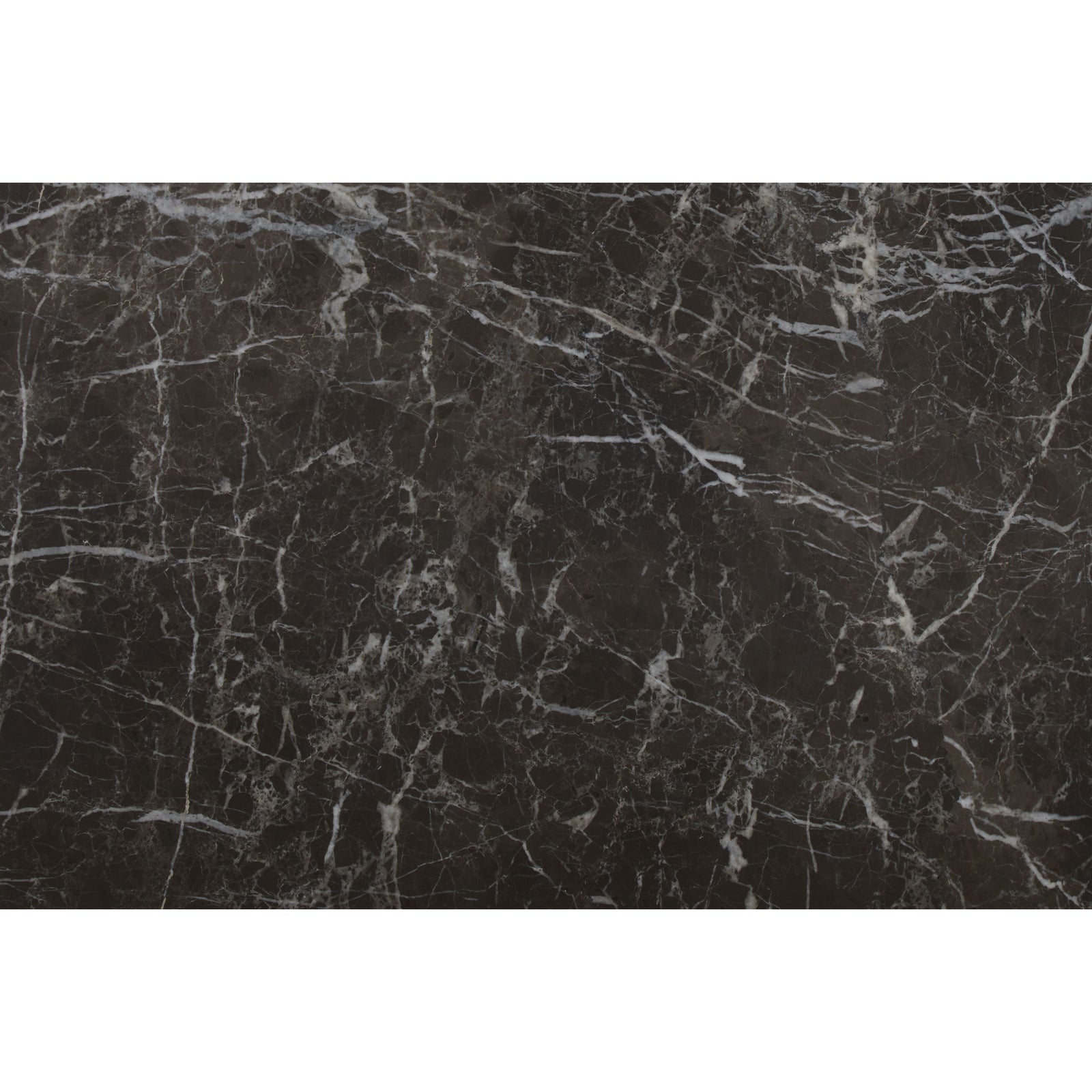 Avante Garde Marble Honed 61 x 40cm in a bathroom setting