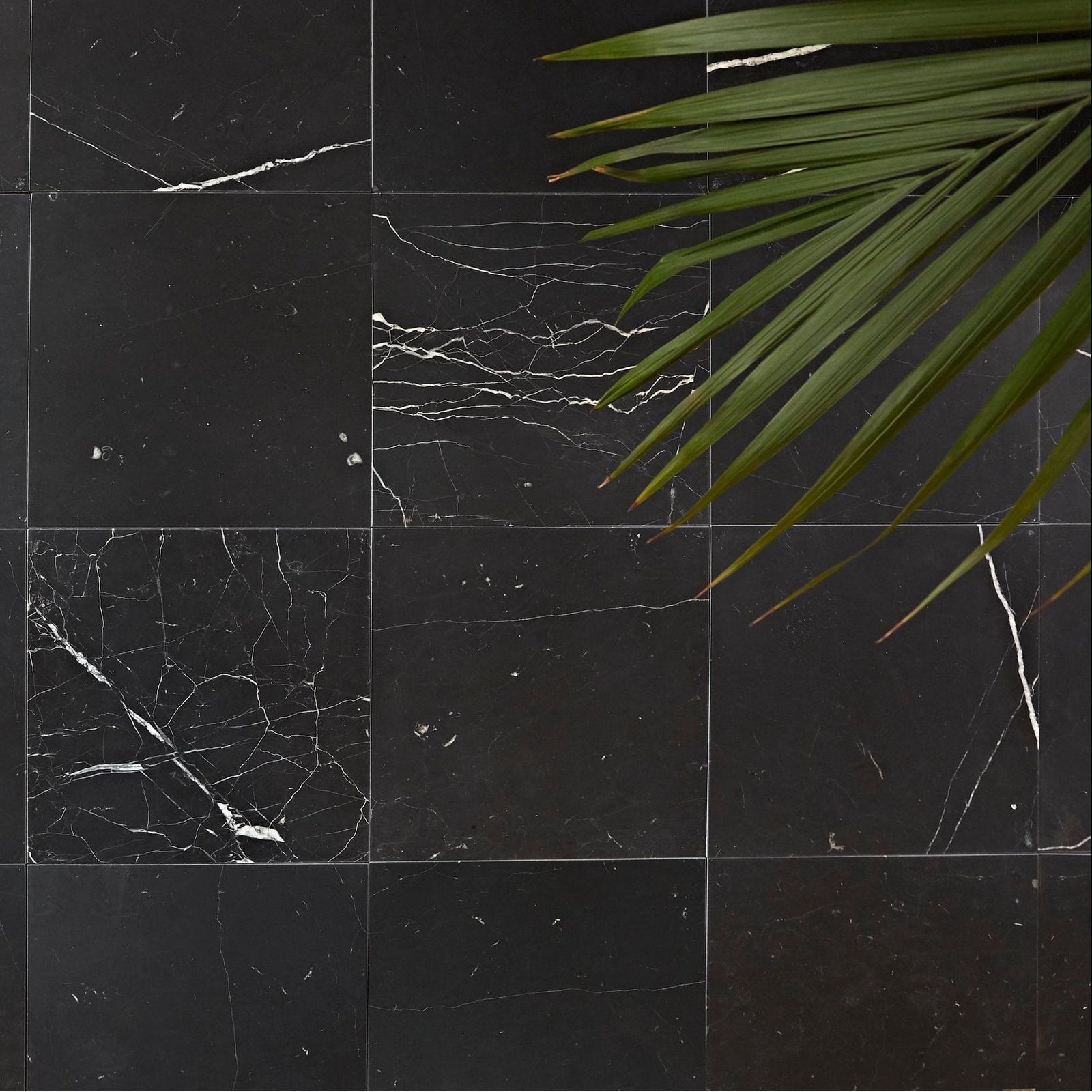 Chequers Court black marble tiles featuring elegant white veining for sophisticated interior design