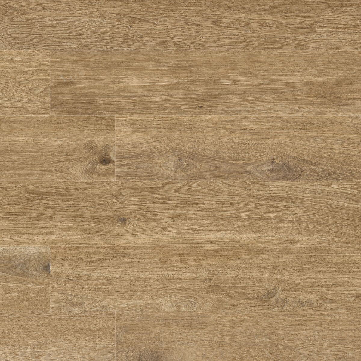 Single Cotswold Oak plank wood effect porcelain tile cut-out on white