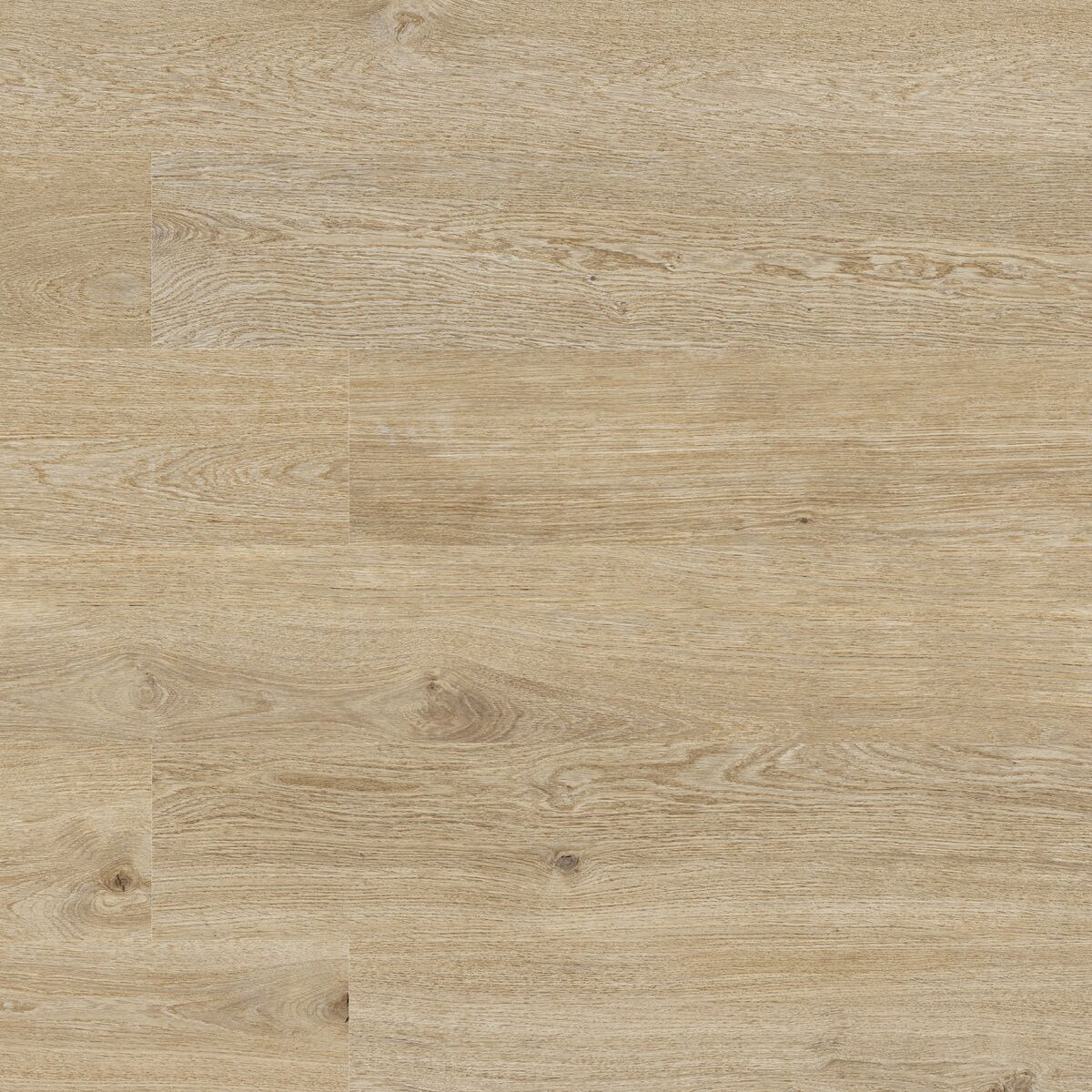 Single Cotswold Sycamore plank wood effect porcelain tile cut-out on white