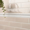 Beige tiles with a white border and a plant on a wall