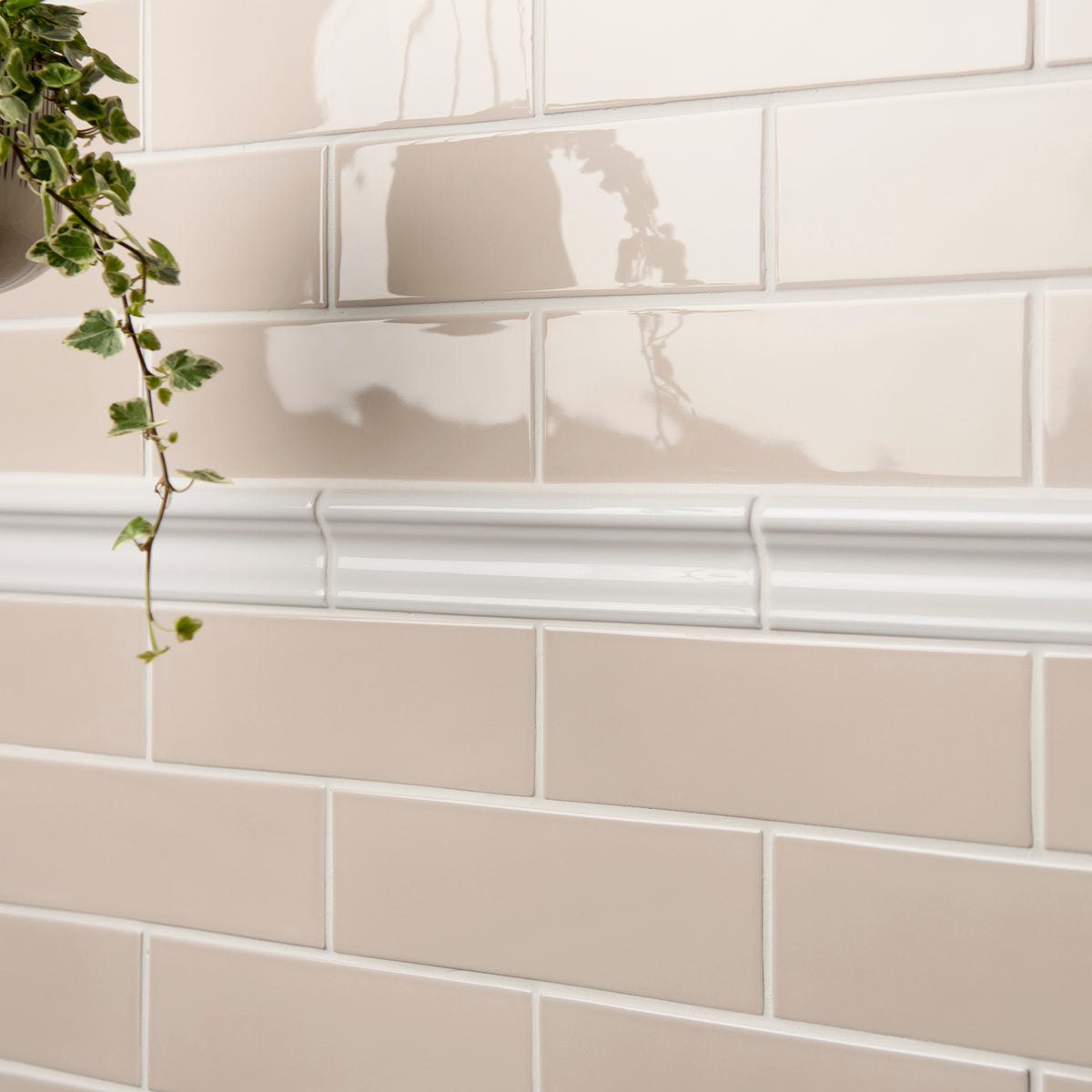 Beige tiles with a white border and a plant on a wall
