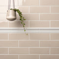 Beige tiles with a white border and a hanging plant