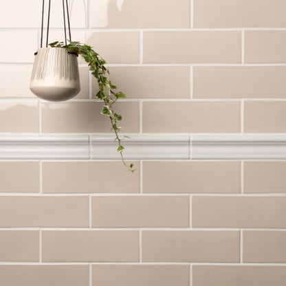 Beige tiles with a white border and a hanging plant
