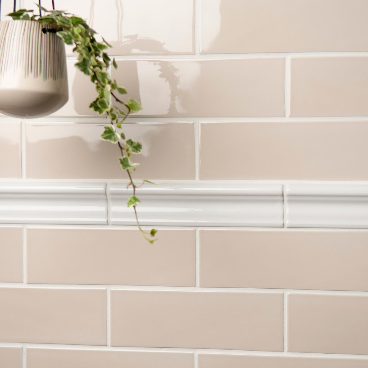 Beige tiles with a white border and a plant in the corner