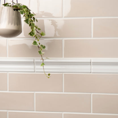 Beige tiles with a white border and a plant in the corner