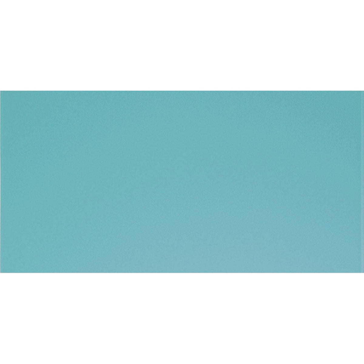 Colorado Clear Glass 60 x 30cm Wall Tile