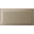 Dionysus Metallic Glass Bevel 20 x 10cm Wall Tile
